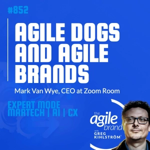 #852: Zoom Room CEO Mark Van Wye on agile dogs and agile brands