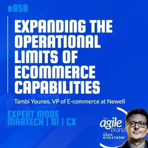 #850: Newell VP of E-commerce Tambi Younes on expanding the operational limits of ecommerce capabilities