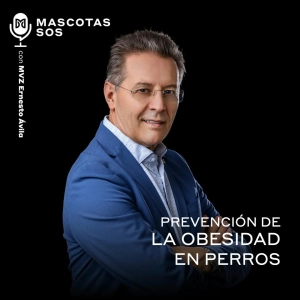 Prevención de la obesidad en perros
