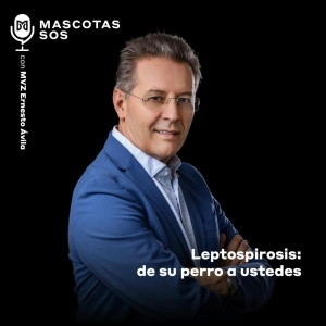 Leptospirosis: de su perro a ustedes