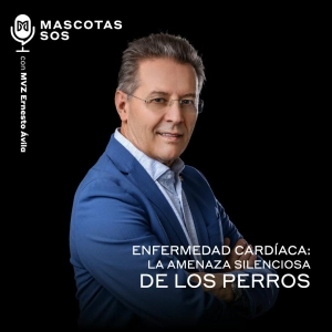 Enfermedad cardíaca: La amenaza silenciosa en perros