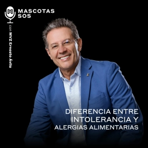 Diferencia entre intolerancia y alergias alimentarias