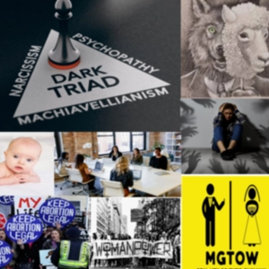 Episode 587: Danielle Sulikowski on the Dark Triad and Female Manipulative Reproductive Suppression