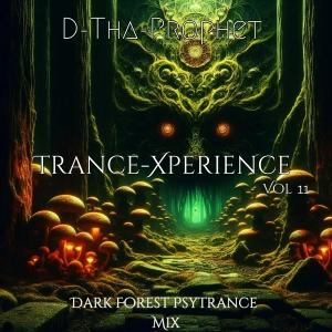 Episode 11: Trance-Xperience Vol 11 - Dark Forest Psytrance Mix.