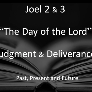 Episode 125: Joel 2-3 - The Day of the Lord - Deliverance & Judgment - PART 1