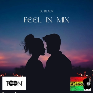 Episode 12: Feel in mix