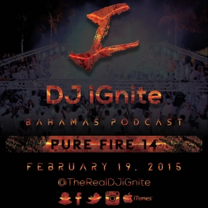 Pure Fire 14 HipHop & RnB Mix