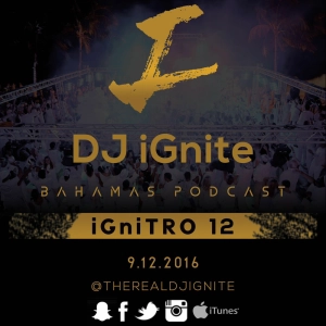 iGniTRO 12 (CLEAN MIX) #House #Electro #EDM #Remixes #Trap