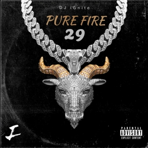 Pure Fire 29
