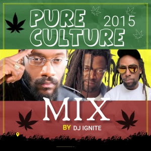 Episode 1: Pure Culture 2015