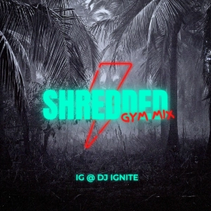 Episode 1: SHREDDED Gym Mix