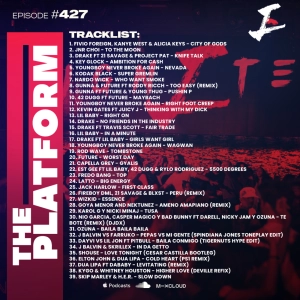 Episode 1: The Platform Mix