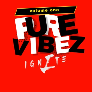 Pure VibeZ Vol. 1