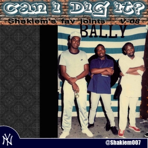 #73 Can I Dig It - Vol8