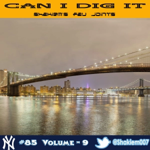 #85 - Can I Dig It - Vol 9
