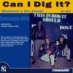#42 Shakiem's Fav Hip-Hop Joints -- Can I Dig It V-03