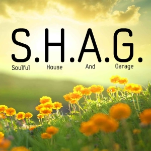 SHAG 30-Mar-2020 DEEP SOULFUL HOUSE