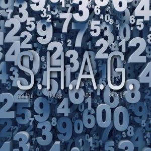 RANDOM SHAG - DEEP SOULFUL AFRO HOUSE MUSIC