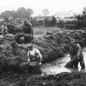 Celtic Roots Craic 46 –  ‘Awkward as a pig in a sheugh!’