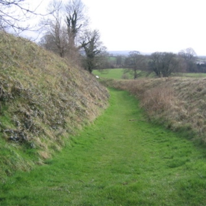 Celtic Roots Craic 22 – Cuchulain, the 'Hound of Ulster'