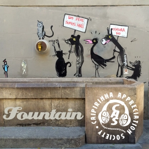 CAS 515 | Fountain