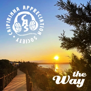 CAS 536 |  The Way