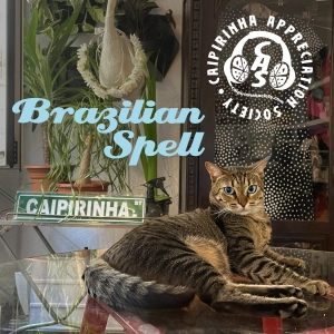 CAS 543 | Brazilian Spell [NEW]