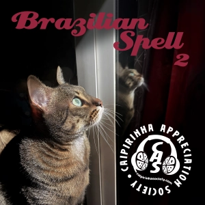 CAS 544 | Brazilian Spell pt. 2 [NEW]