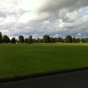 How Should The Harrogate Stray Be Used In The Future?