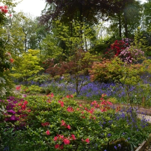 Not heard of the Himalayan Gardens?  You should have!