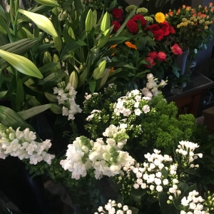 How To Make Your Flowers Look Award Winning