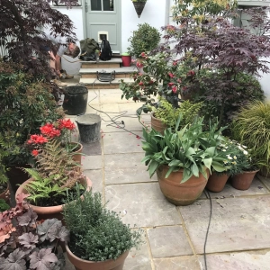 LOVE a nice garden?  Can't quite be bothered to garden though?
