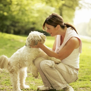 National Microchipping Month