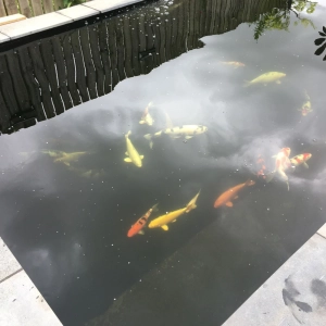 It's a pond life for Aquascapes and Landscaping