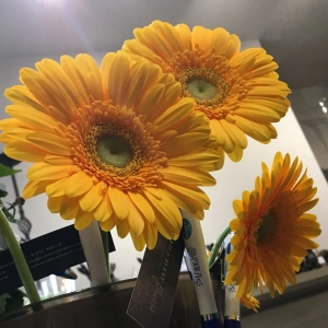 Spreading happiness in Ilkley