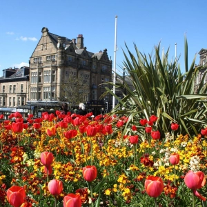 Congratulations Harrogate in Bloom!