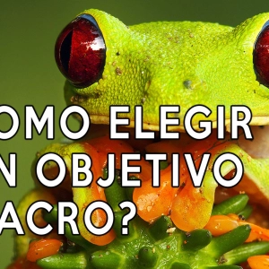 S1 Ep27: ¿Como elegir un objetivo macro?