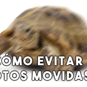 S1 Ep30: ¿Cómo evitar fotos movidas?
