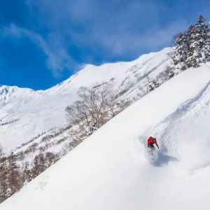 116: The rise and fall of Japan's ski industry w/ Francesco Bassetti