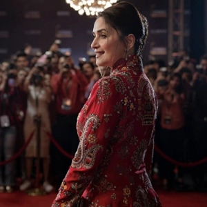 Netflix and Dil: The Fame Game, or Madhuri Madness 2