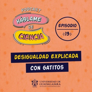 S1 Ep13: Desigualdad explicada con gatitos