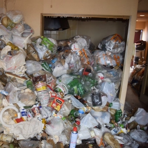 143: Clutter, trash and hoarding disorder in Japan