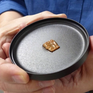 146: I can’t believe it’s not meat! Is lab-grown beef on Japanese menus?