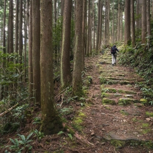 [Rebroadcast] The sublime boredom of walking in Japan