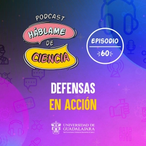 S1 Ep60: Defensas en acción