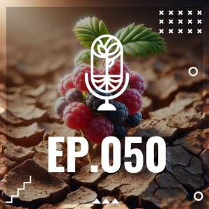 S3 Ep50: SEQUIA SABOR FRAMBUESA