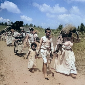 76 Years of Nakba
