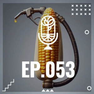 S3 Ep53: BIOCOMBUSTIBLES