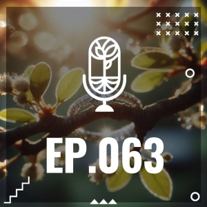 S3 Ep63: JOYAS DEL ANTROPOCENO