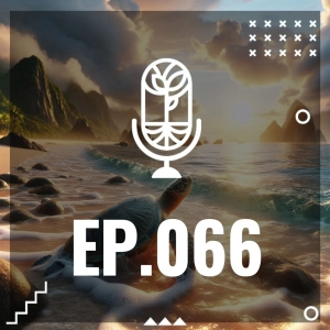 S3 Ep66: LAS TORTUGAS QUE REGRESAN
